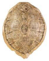 Cartographic Curiosity. Cook (Captain James). Resin faux turtle shell with 'scrimshaw', 20th