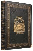 Houghton (William). British Fresh-Water Fishes, 1st edition, London: William Mackenzie, [1879]