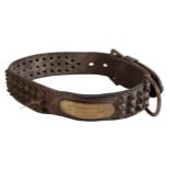 A VICTORIAN LEATHER AND BRASS STUDDED DOG COLLAR