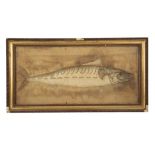 A VICTORIAN EMBROIDERY OF A MACKEREL FISH