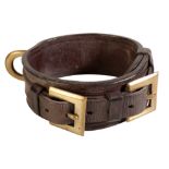 A LATE 19TH CENTURY LEATHER AND BRASS DOG COLLAR