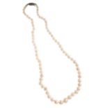 A SINGLE STRAND GRADUATED CULTURED PEARL NECKLACE