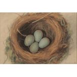 *BRYAN SENIOR (B. 1935) 'Nest'