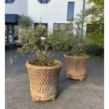 A PAIR OF TERRACOTTA PLANTERS