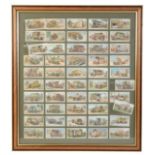 A FRAMED COLLECTION OF 50 WILLIS CIGARETTE CARDS