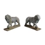 AFTER THE ANTIQUE: A PAIR OF PAINTED STONE MEDICI LIONS