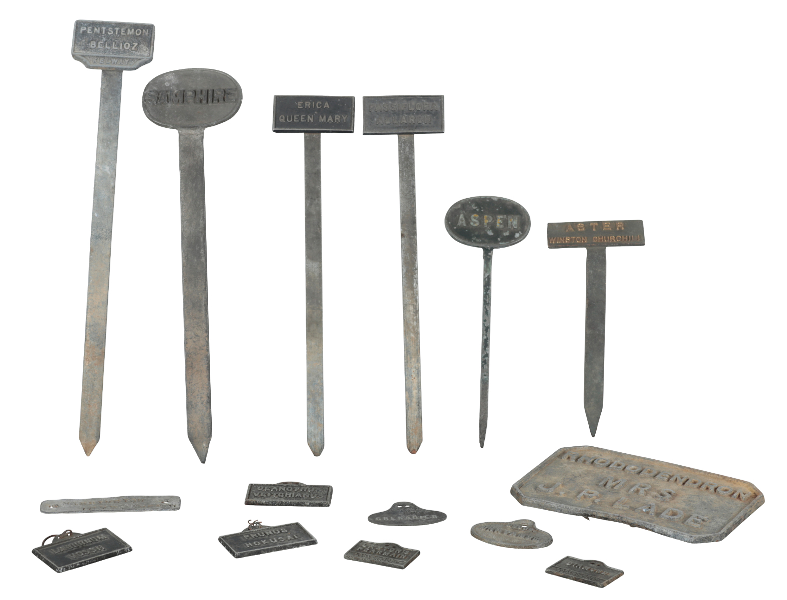 A GROUP OF FIFTEEN METAL PLANT LABELS