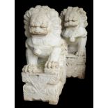 A PAIR OF WHITE MARBLE DOGS OF FO