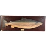 HARDY BROS. LTD, ALNWICK: A RARE CARVED WOODEN SALMON