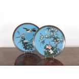 TWO JAPANESE CLOISONNE PLATES