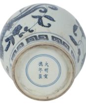 A CHINESE PORCELAIN BLUE AND WHITE 'PHOENIX' VASE