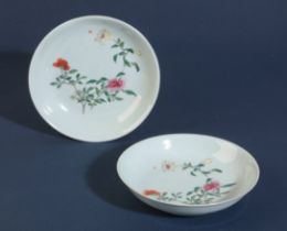 A PAIR OF CHINESE SAUCER DISHES