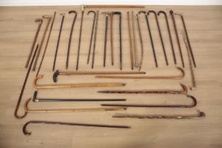 A LARGE COLLECTION OF WALKING STICKS