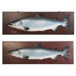 JOHN AND DHUIE TULLY OF FOCHABERS: A RARE PAIR OF CARVED WOODEN SALMON