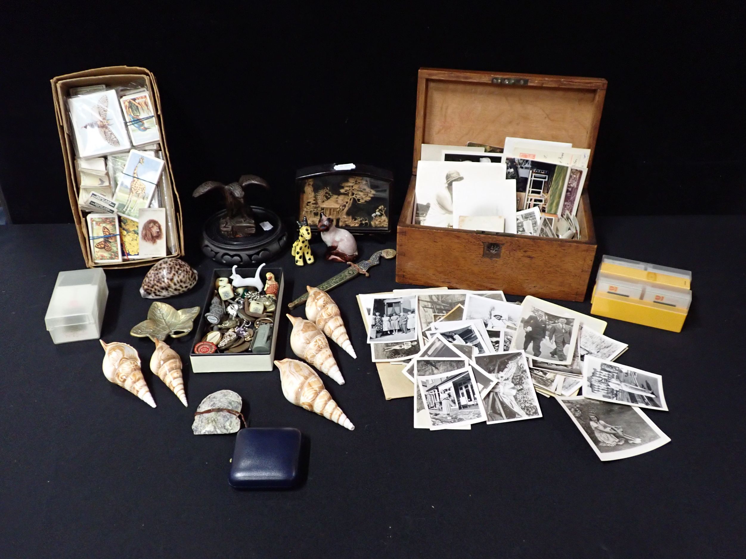 AN OAK BOX, OLD PHOTOS, CARVED SHELLS, CIGARETTE CARDS