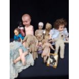 A COLLECTION OF TEDDY BEARS AND DOLLS