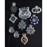 A COLLECTION OF PRISON AND POLICE BADGES
