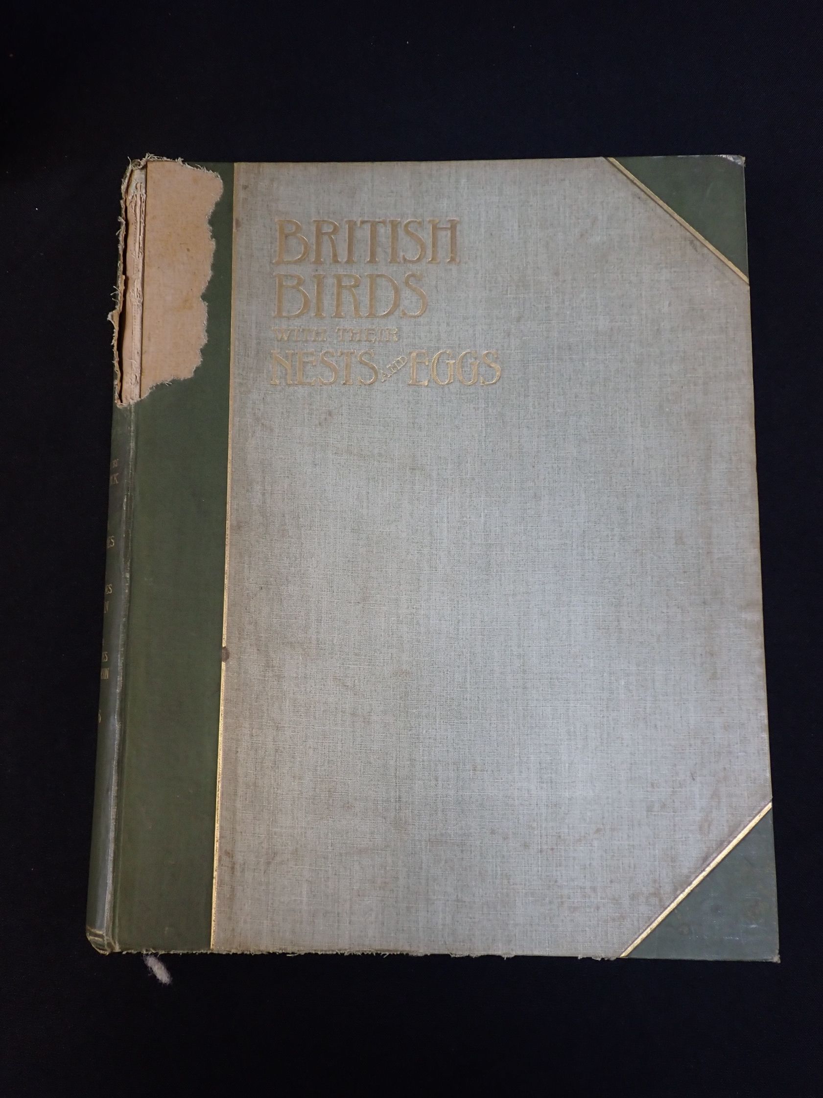 BRITISH BIRDS WITH EGGS AND NESTS, 1898 - Image 2 of 3