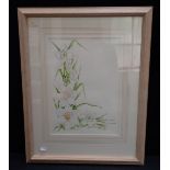 WHITE DAFFODILS, WATERCOLOUR