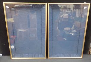 A PAIR OF GILT DISPLAY FRAMES