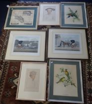 A COLLECTION OF PRINTS