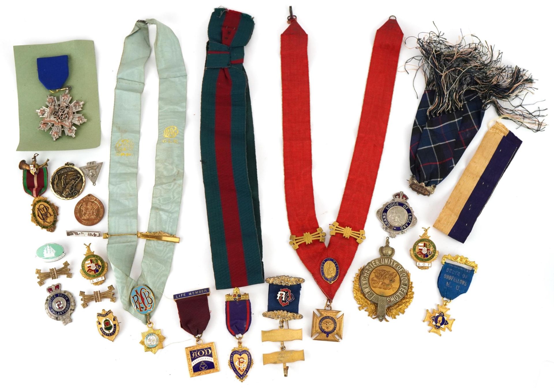Group of masonic and RAOB interest jewels and medallions including Independent Order of Buffaloes