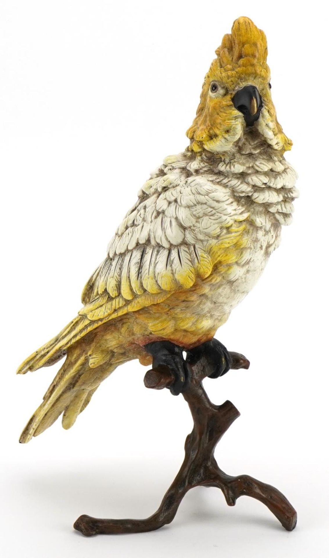 Cold painted bronze cockatiel on a branch in the style of Franz Xaver Bergmann, 30cm high