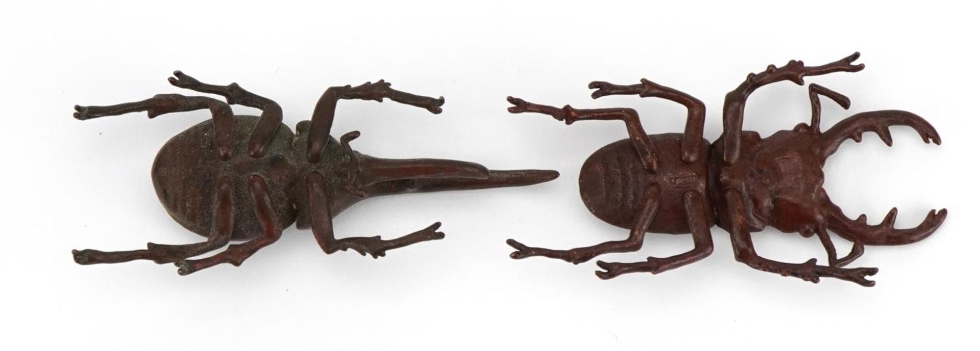 Two Japanese patinated bronze beetles including stag beetle, each with impressed marks, the - Bild 3 aus 4
