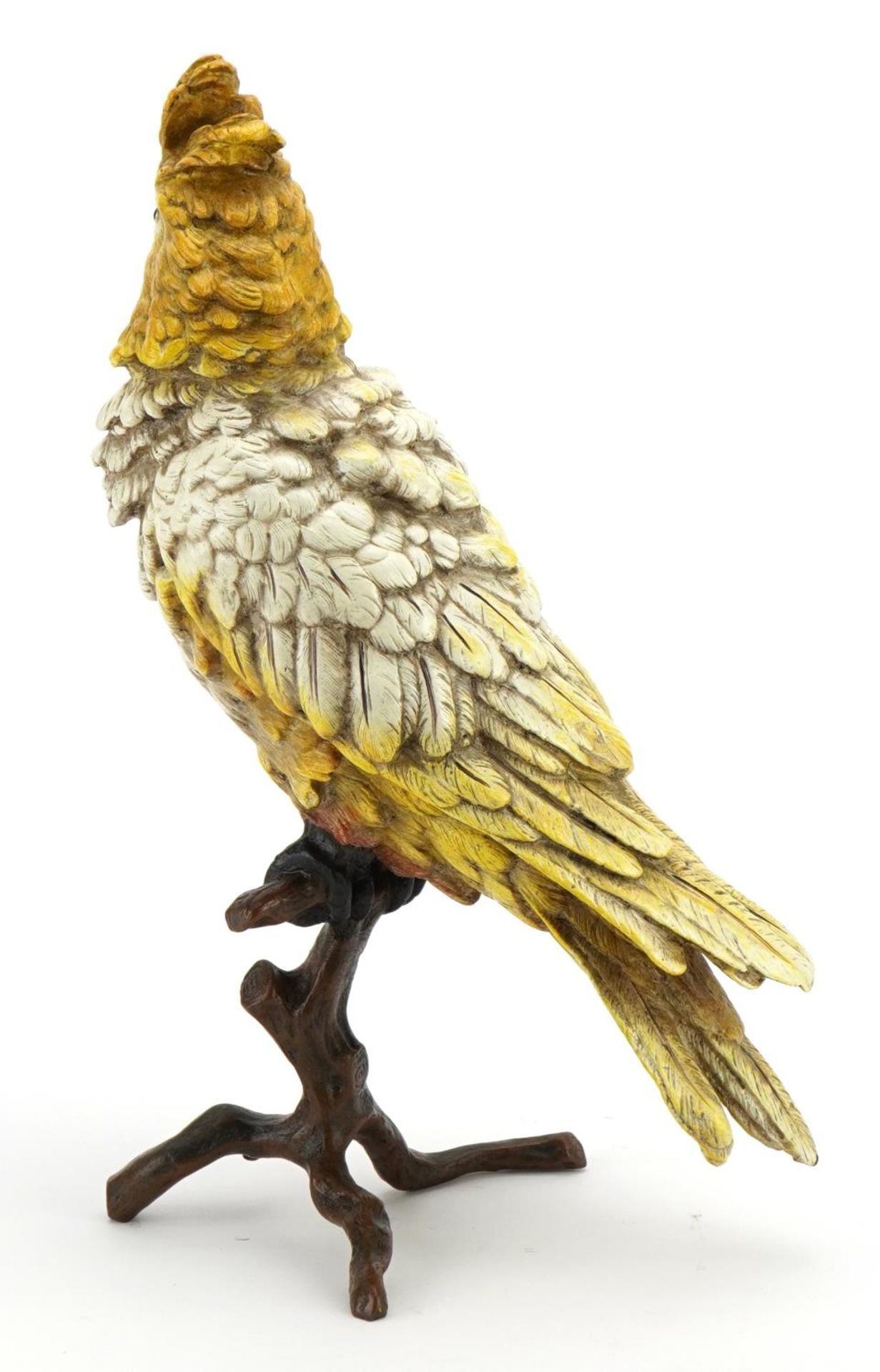 Cold painted bronze cockatiel on a branch in the style of Franz Xaver Bergmann, 30cm high - Image 2 of 4