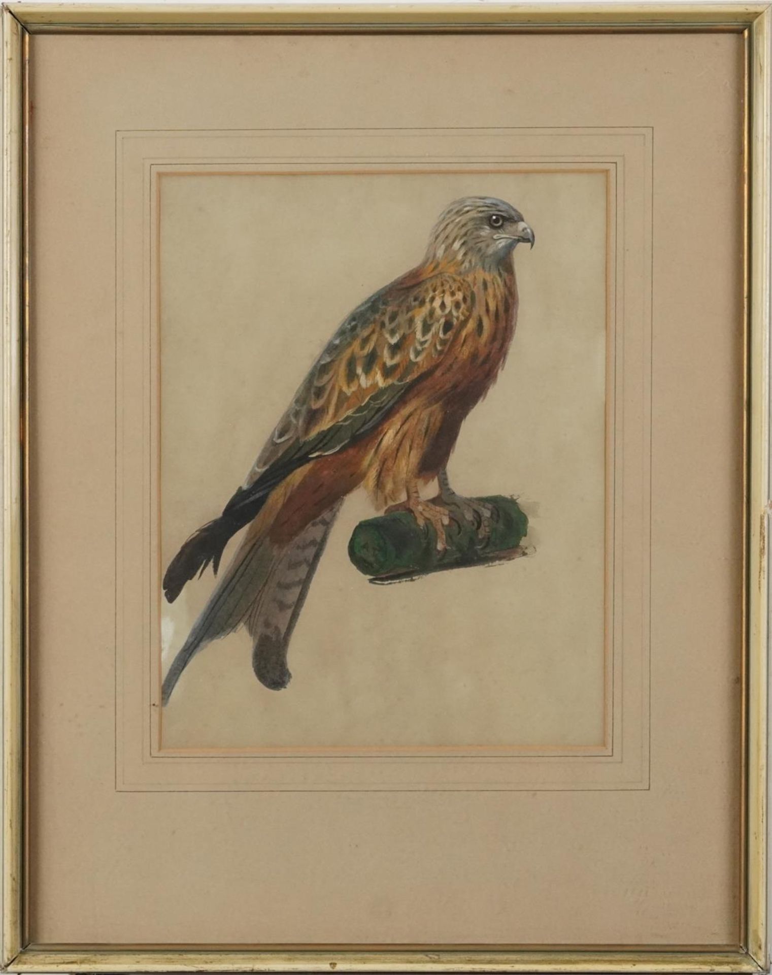 After Archibald Thorburn - Red kite on a log, heightened watercolour signed with initials, Mealands, - Bild 2 aus 4