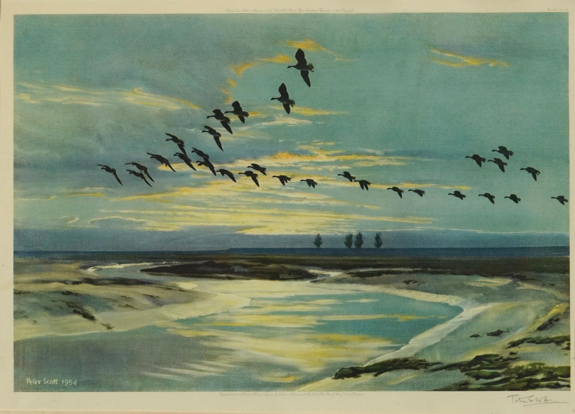 Peter Scott - Coastal scene with birds in flight, pencil signed print in colour, published by Arthur