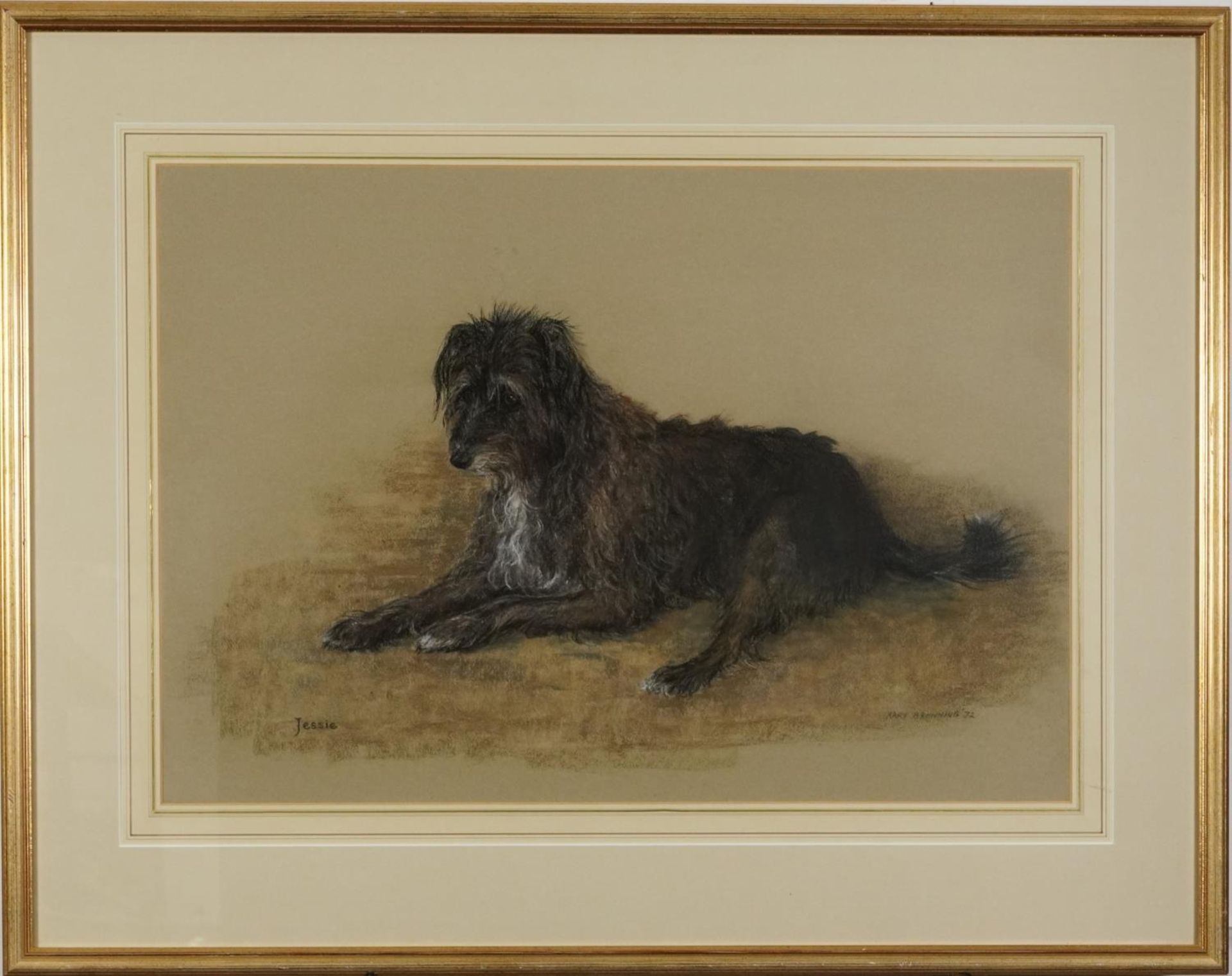 Mary Browning 1972 - Portrait of a dog called Jessie, signed pastel, mounted, framed and glazed, - Image 2 of 6