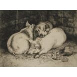 Charles Frederick Tunnicliffe - Porketts, pencil signed etching, limited edition 33/75, details