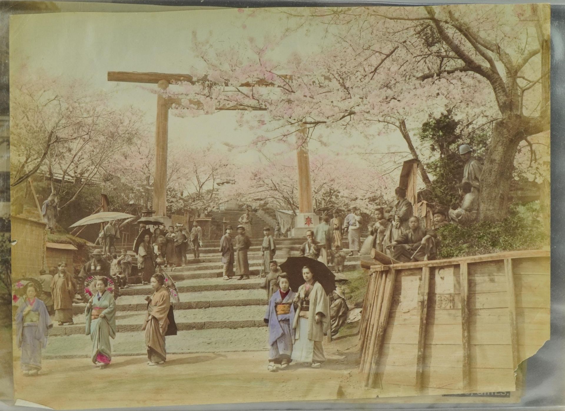 Collection of Japanese photographs arranged in an album including The Tomb of Kiyomori, opium