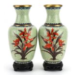 Pair of Chinese cloisonne vases raised on hardwood stands, each enamelled with flowers, each 29cm