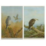 Archibald Thorburn - Honey Buzzard and Montague Harrier, pair of pencil signed prints in colour,