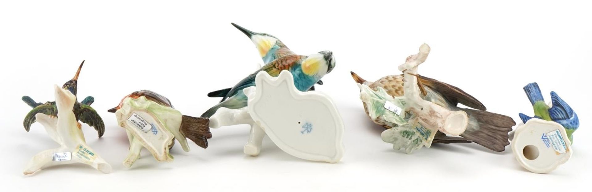 Five collectable porcelain bird groups comprising Karl Enz and Goebel, the largest 23cm high - Image 5 of 6