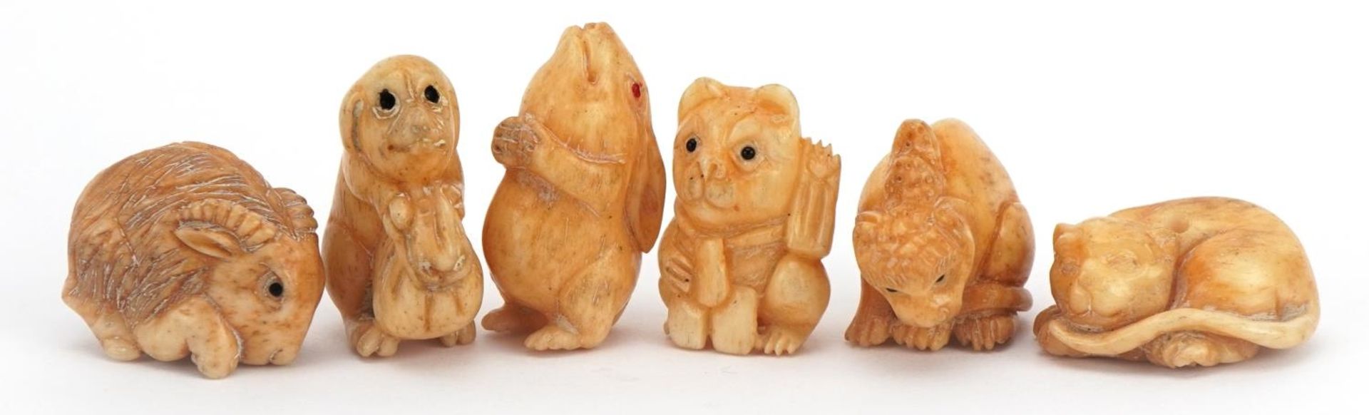 Six Japanese carved nut animal netsukes, the largest 2.5cm wide