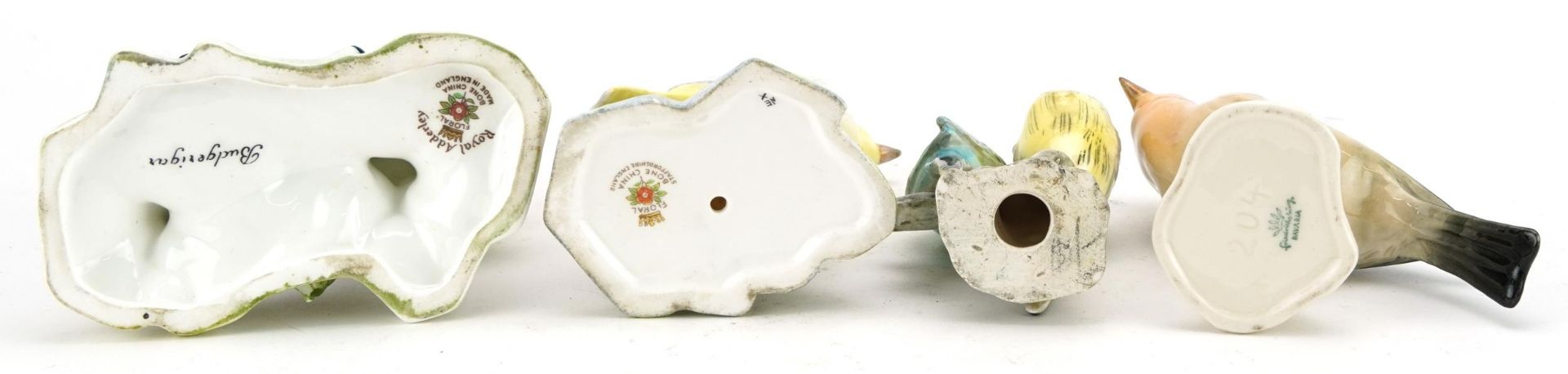 Four porcelain bird groups including Royal Adderley, Staffordshire and Bavaria, the largest 12.5cm - Bild 3 aus 3