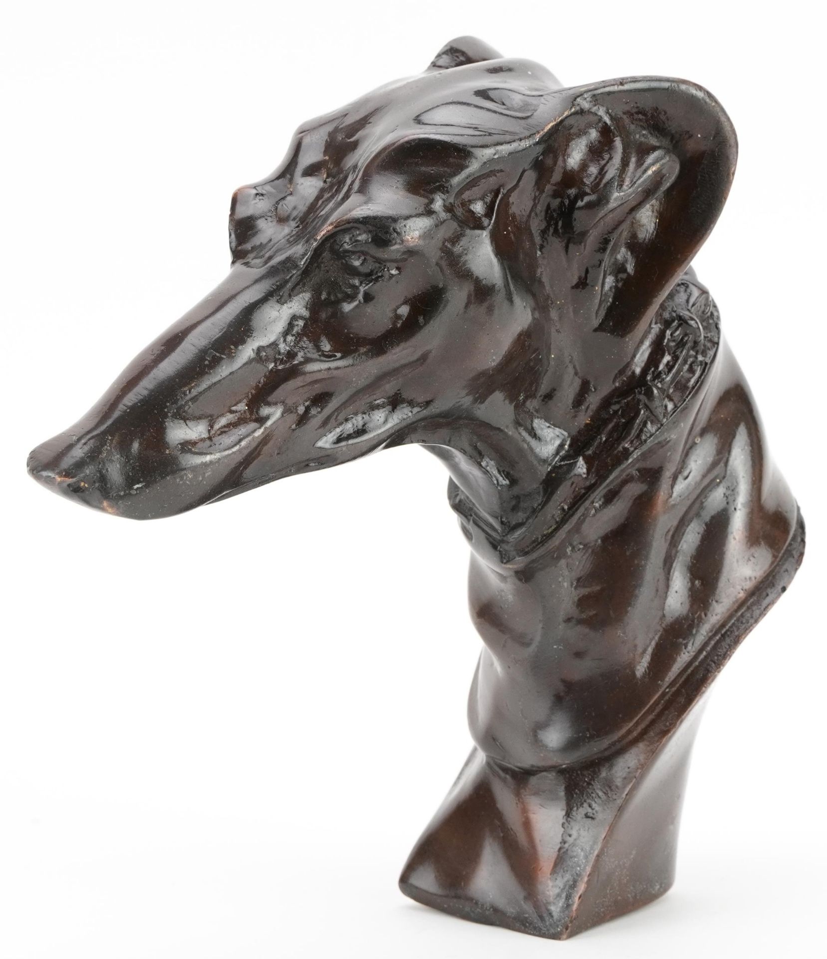 Bronze study of a greyhound bust, 20cm in length