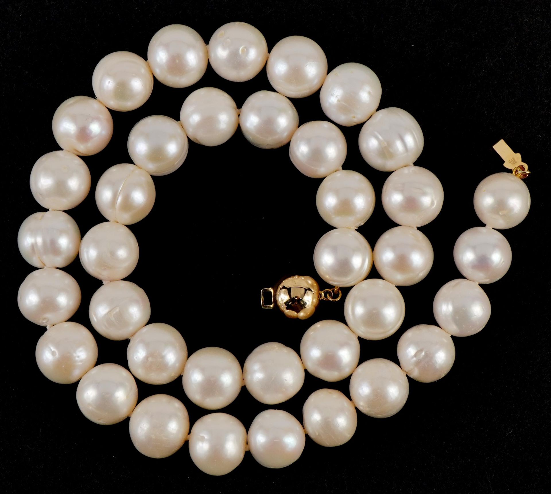 Large freshwater single string pearl necklace with 9ct gold ball clasp, 45cm in length, 86.6g - Image 2 of 3