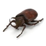 Japanese patinate bronze beetle with opening back, 12cm in length