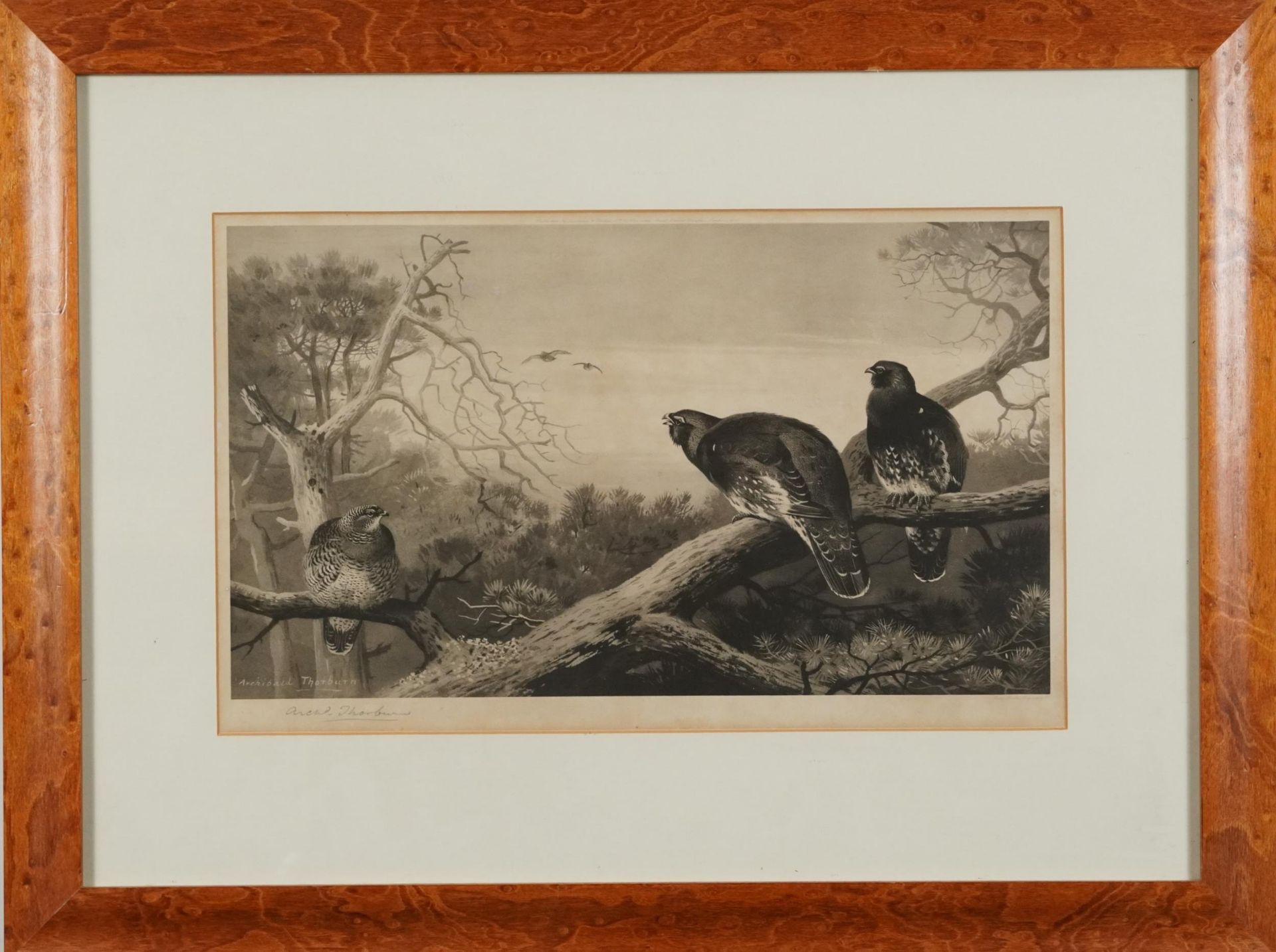 Archibald Thorburn - Birds and ducks before landscapes, six pencil signed prints in colour, three - Bild 7 aus 26