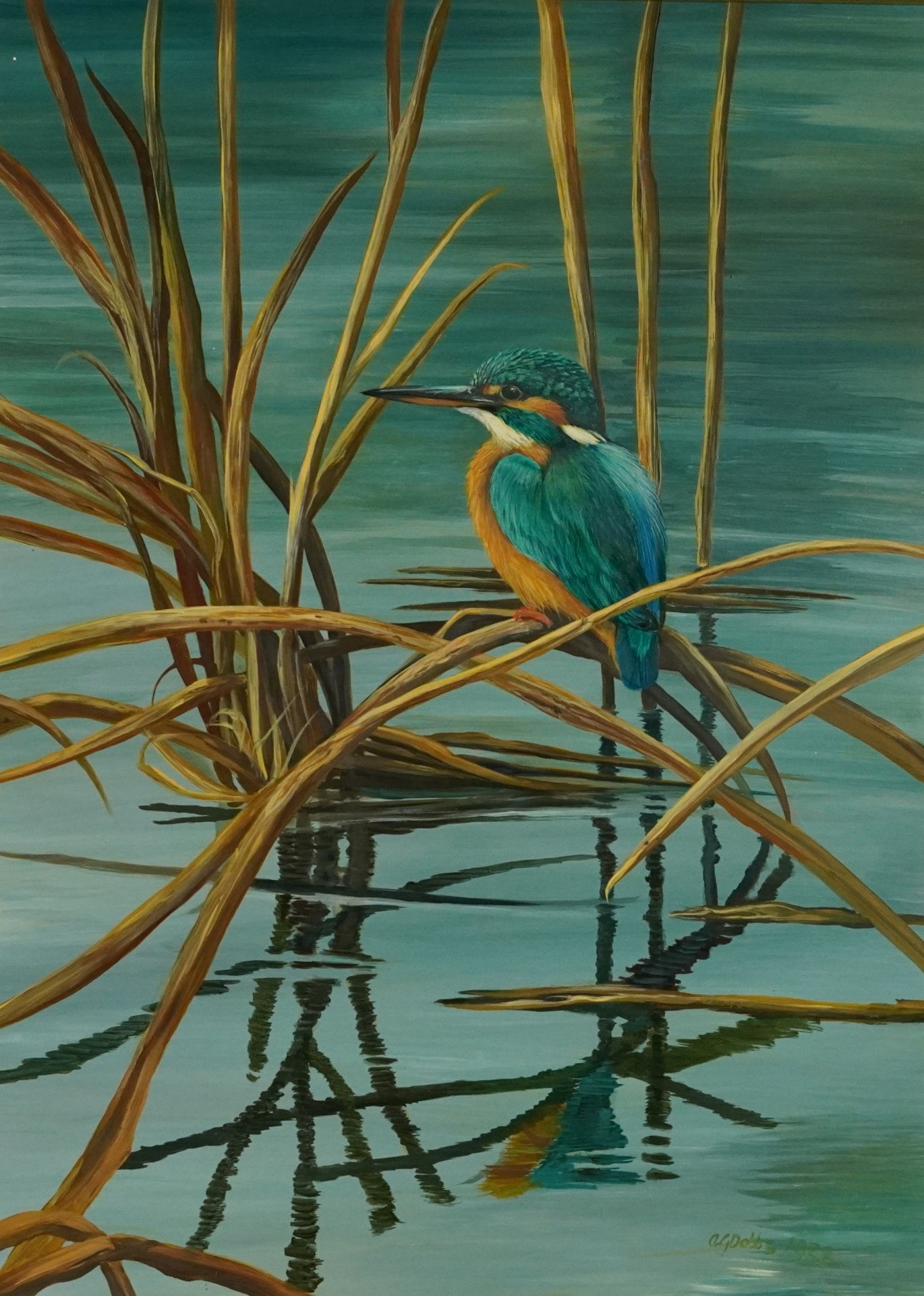 Kingfisher on reeds above water, oil on board, indistinctly signed, possibly ... Dobbs, mounted