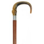 Wooden walking stick with carved horn handle and silver collar impressed Ben Cox London, J C maker's