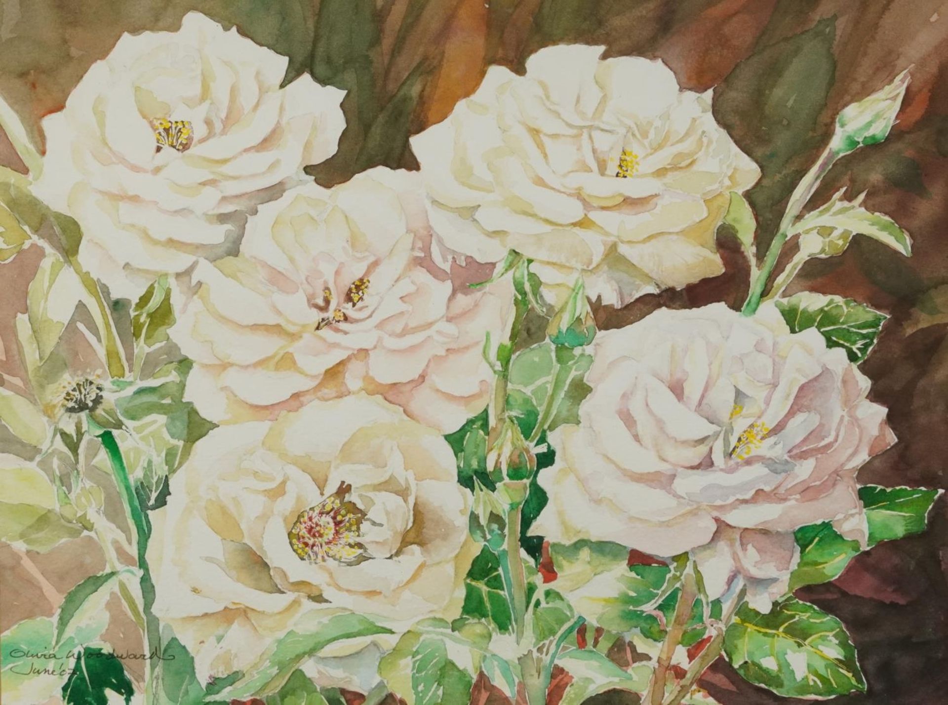 Olivia Woodward - Still life, roses and flowers, pair of watercolours, each mounted, framed and - Image 2 of 9