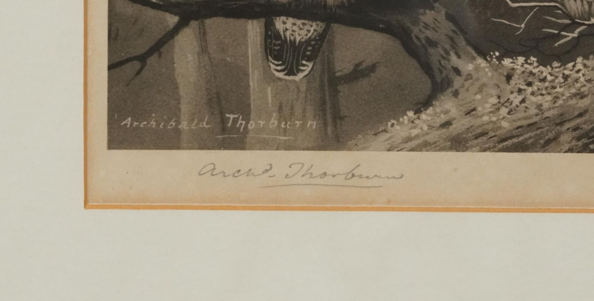 Archibald Thorburn - Birds and ducks before landscapes, six pencil signed prints in colour, three - Bild 8 aus 26