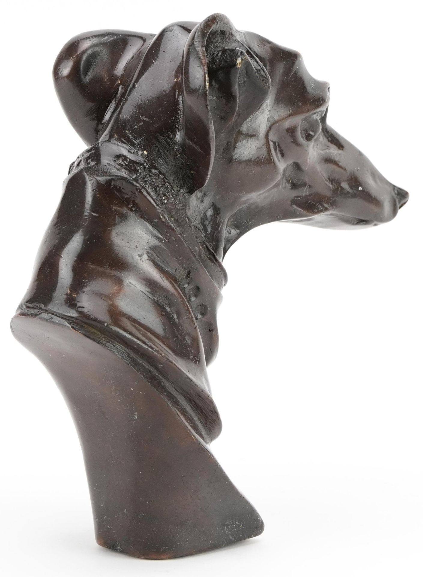 Bronze study of a greyhound bust, 20cm in length - Bild 2 aus 3