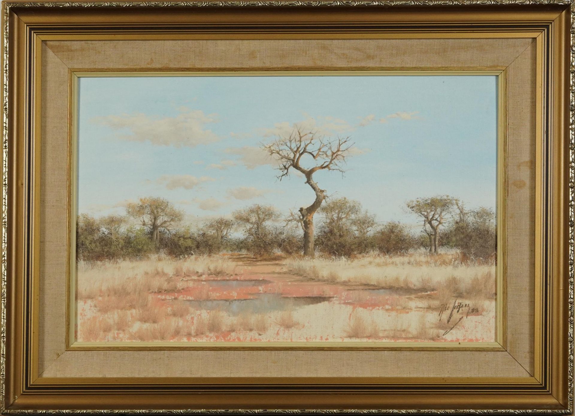 Nico Coetzee - South African landscapes, pair of oil on boards, mounted and framed, each 55cm x 34. - Image 3 of 11