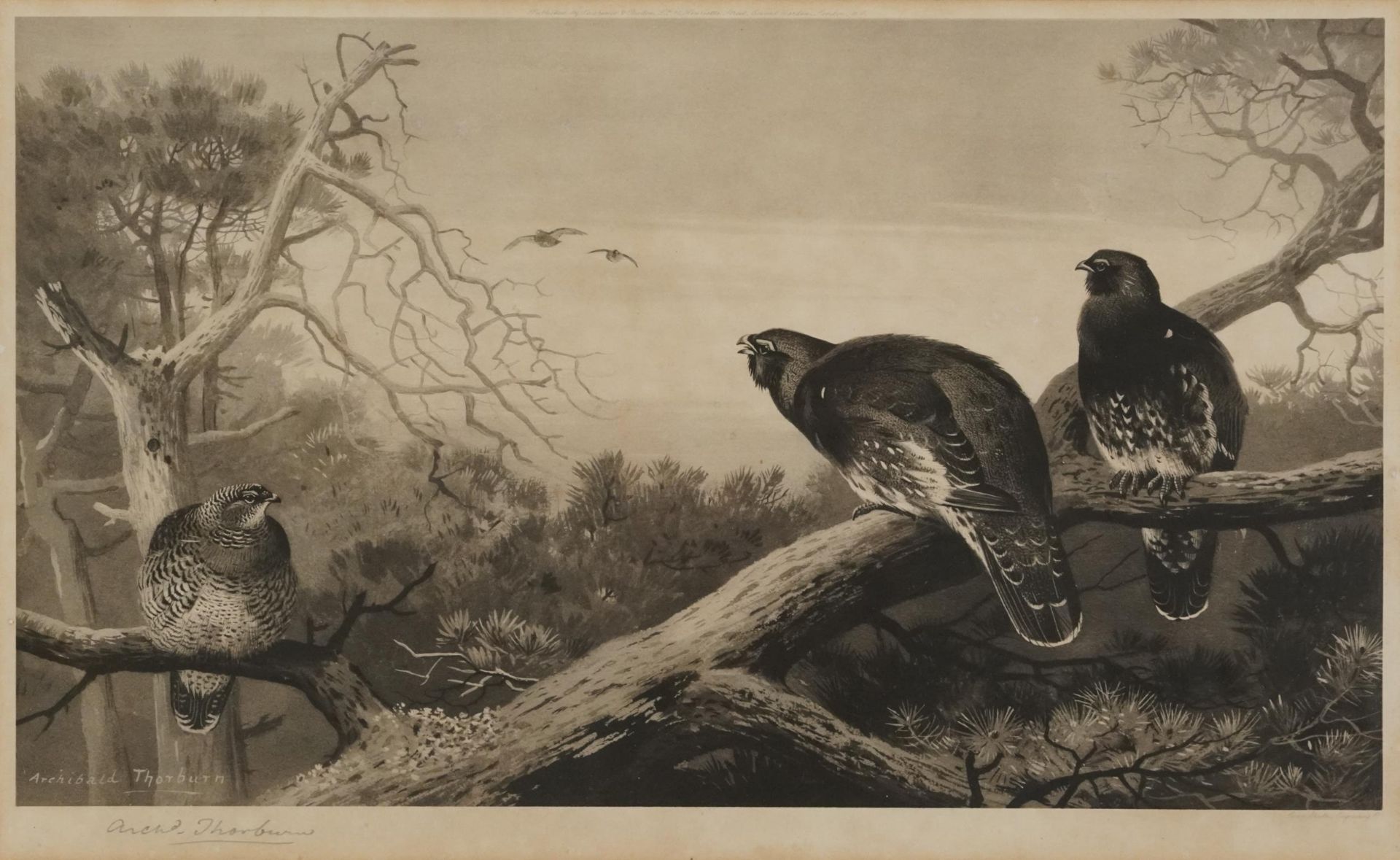 Archibald Thorburn - Birds and ducks before landscapes, six pencil signed prints in colour, three - Bild 6 aus 26